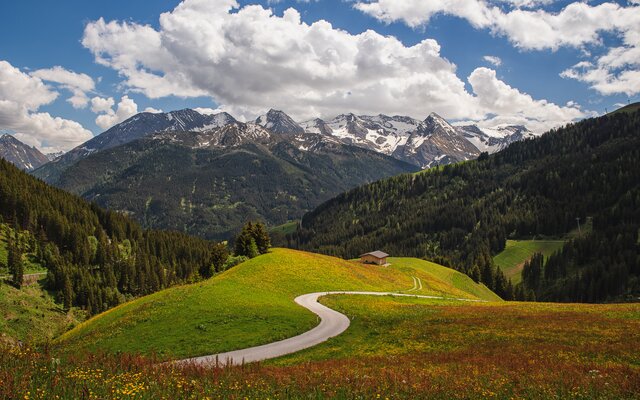 Wanderweg durch grüne Almen