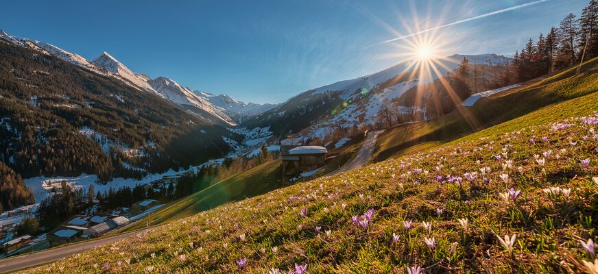 Blick ins Tuxertal