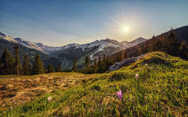 Grüne Wiesen und verschneite Berge