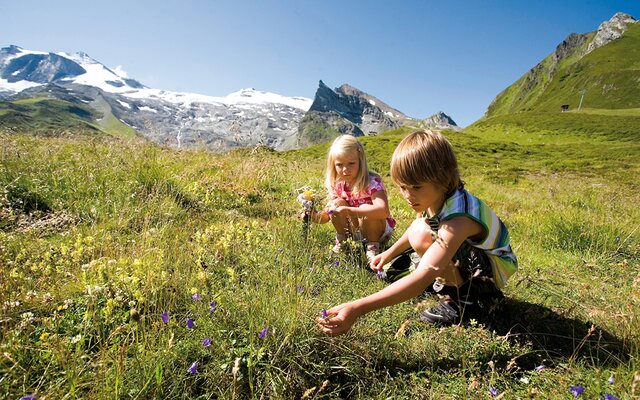 Kinder auf der Alm beim Blumen pflücken