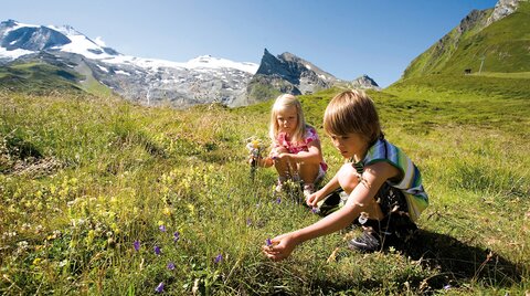 Kinder beim Blumen pflücken auf der Alm