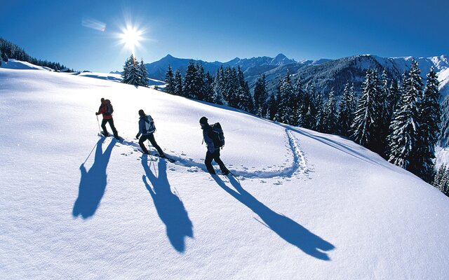Winterliche Wanderung in der Umgebung